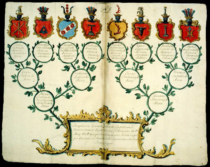 ok. 1750 Josephus in Jasienna Jakliński ... Genealogia